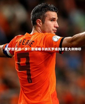 ng体育官方网站：离梦想更进一步？意媒曝卡纳瓦罗或执掌意大利帅印