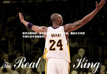 ng体育平台-西甲内幕揭秘，皇家奥维耶多迎战巴列卡诺，最新比分预测与客队战术深度解析