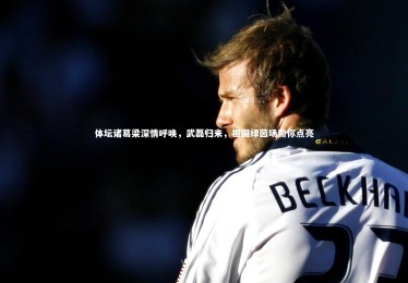 ng体育平台|体坛诸葛梁深情呼唤，武磊归来，祖国绿茵场需你点亮