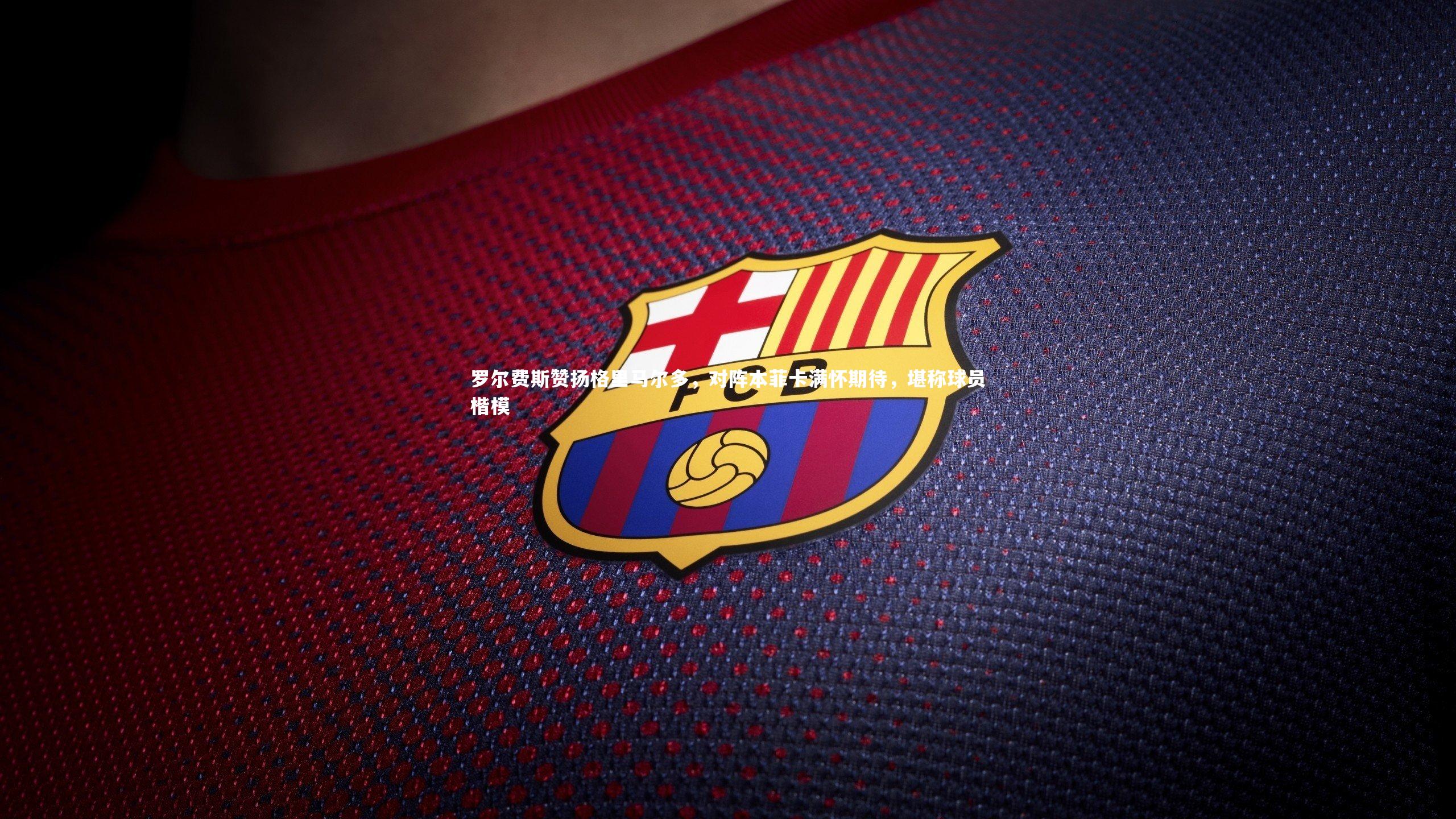 罗尔费斯赞扬格里马尔多，对阵本菲卡满怀期待，堪称球员楷模